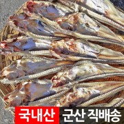 망둥어/국내산 망둥어/건망둥어/말린 망둥어